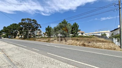 /international/pt/caldas-da-rainha-leiria-310101158020/