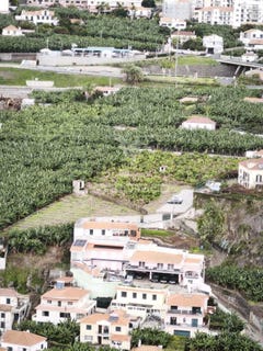 /international/pt/camara-de-lobos-camara-de-lobos-madeira-310103456444/