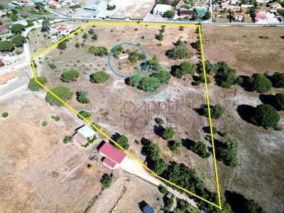 /international/pt/pinhal-novo-setubal-municipality-120084452633/