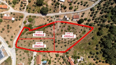 /international/pt/seica-ourem-santarem-120093594483/