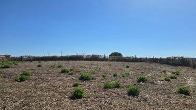 /international/pt/torres-vedras-lisbon-310103349534/