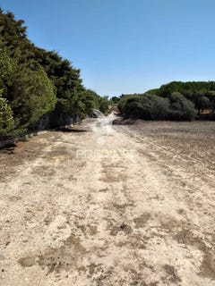 /international/pt/porto-covo-sines-setubal-municipality-310103766101/
