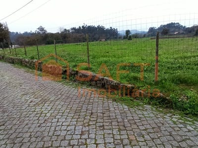 /international/pt/creixomil-e-mariz-braga-310100484653/