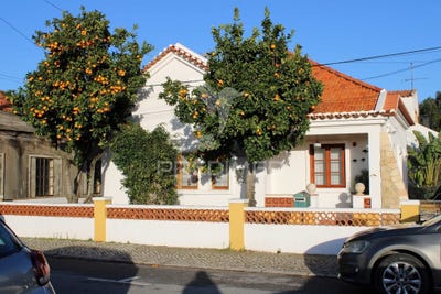/international/pt/santiago-do-cacem-santa-cruz-e-sao-bartolomeu-da-serra-santiago-do-cacem-setubal-municipality-310105740747/