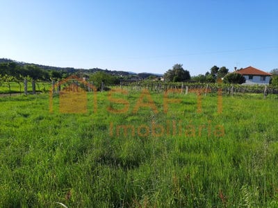 /international/pt/pias-santarem-310100491814/?lang=zh-tw
