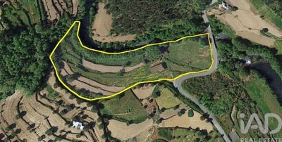 /international/pt/trancozelos-viseu-310108454110/