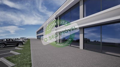 /international/pt/esgueira-aveiro-310099651434/