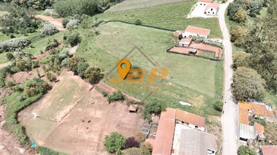 /international/pt/caldas-da-rainha-leiria-310097545640/
