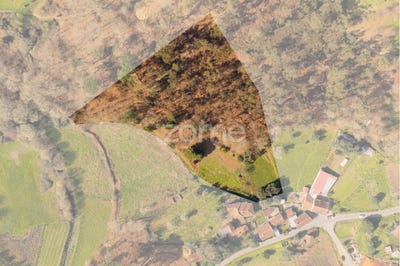 /international/pt/arcos-de-valdevez-viana-do-castelo-120088767304/