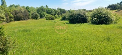 /international/pt/lamarosa-santarem-310108213980/