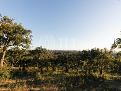 /international/pt/repartida-pela-vale-de-santiago-e-colos-beja-310102276566/