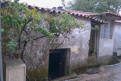 /international/pt/fornos-de-algodres-guarda-310102843437/