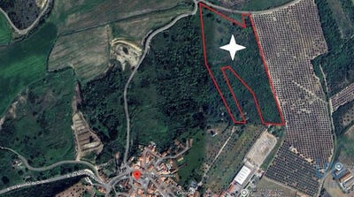 /international/pt/santarem-santarem-310096440398/