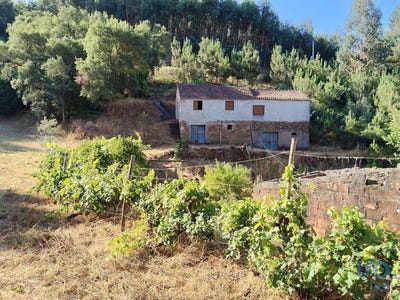 /international/pt/madeira-castelo-branco-310101187890/?lang=zh-cn