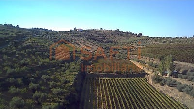 /international/pt/cedovim-guarda-310104980256/