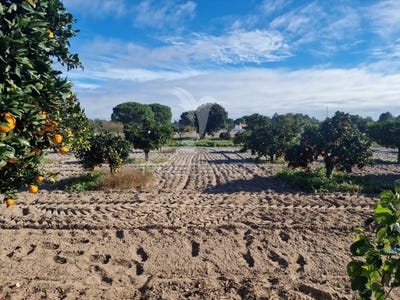 /international/pt/grandola-e-santa-margarida-da-serra-grandola-setubal-municipality-120088617380/