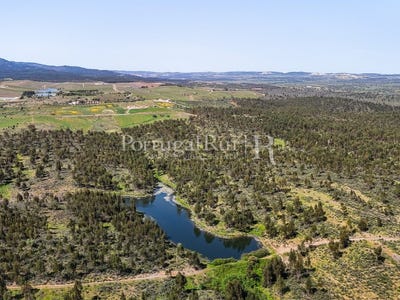 /international/pt/terena-sao-pedro-evora-310108650708/
