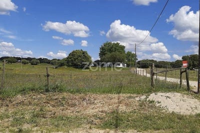 /international/pt/montemor-o-novo-evora-310100598817/