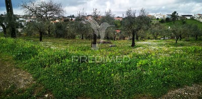 /international/pt/stª-catarina-da-serra-e-chainca-leiria-leiria-120090103815/