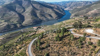 /international/pt/valenca-do-douro-viseu-310100408999/