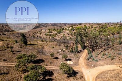 /international/pt/vila-do-bispo-faro-310101388102/
