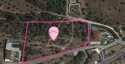 /international/pt/fatima-santarem-310106484478/