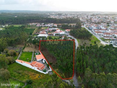 /international/pt/marinha-grande-leiria-310105540593/