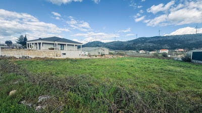 /international/pt/sao-martinho-das-chas-viseu-310099356310/
