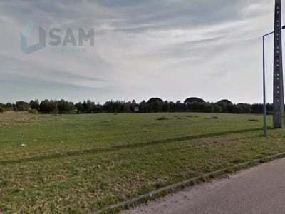 /international/pt/palmela-setubal-municipality-310097213028/