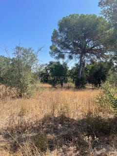 /international/pt/nossa-senhora-da-vila-evora-310100664736/