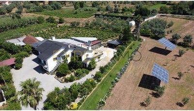 /international/pt/mealhada-aveiro-120094744186/