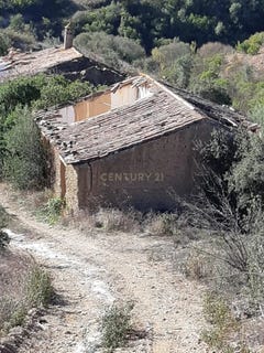 /international/pt/lontra-sao-barnabe-beja-310104167658/