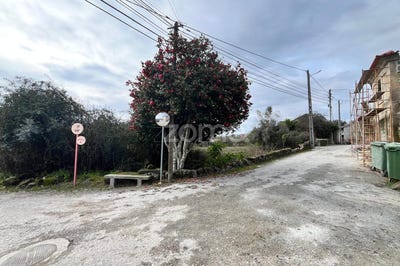 /international/pt/satao-viseu-310099809302/