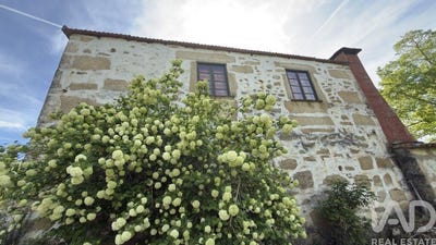 /international/pt/viseu-viseu-310104861557/