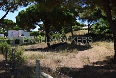 /international/pt/vilamoura-quarteira-lisbon-310104334368/