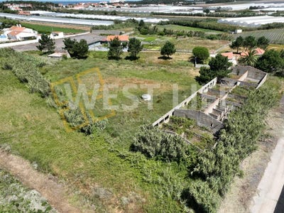 /international/pt/silveira-lisbon-310100825128/