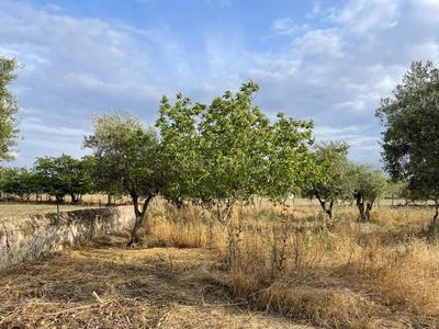 /international/pt/santa-eulalia-elvas-portugal-santa-eulalia-lisbon-310108518850/