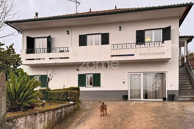 /international/pt/fornos-de-algodres-guarda-310105252383/