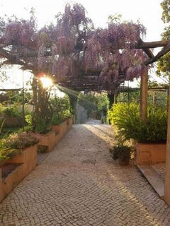 /international/pt/lisboa-lisbon-310108927337/