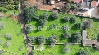 /international/pt/loule-faro-310105761800/