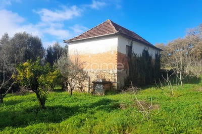 /international/pt/pombal-braga-310097321489/