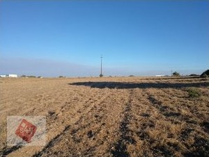 /international/pt/alcochete-setubal-municipality-310098416263/