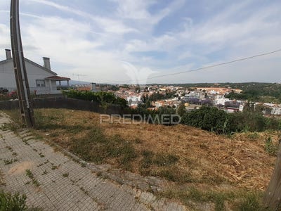 /international/pt/torres-novas-santa-maria-salvador-e-santiago-torres-novas-santarem-120092725209/