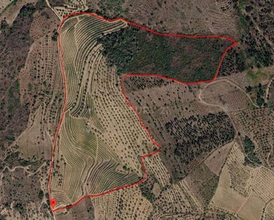 /international/pt/freixo-de-numao-portugal-freixo-de-numao-guarda-310108508474/