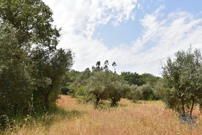 /international/pt/santarem-santarem-310101282957/