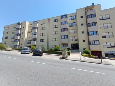 /international/pt/gondomar-braga-310108318557/