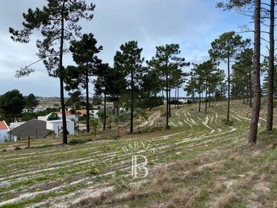 /international/pt/comporta-casas-da-colina-lagoa-formosa-lote-35-carvalhal-setubal-municipality-120092196222/