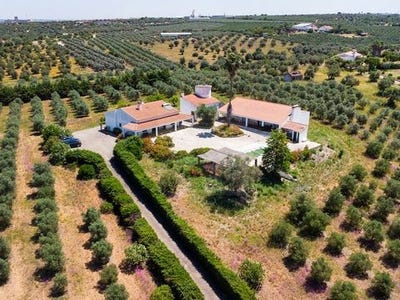 /international/pt/moura-beja-310100461997/