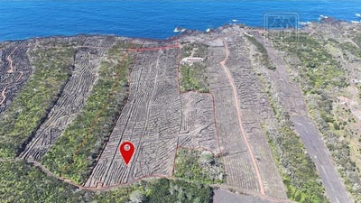 /international/pt/candelaria-azores-310103466524/