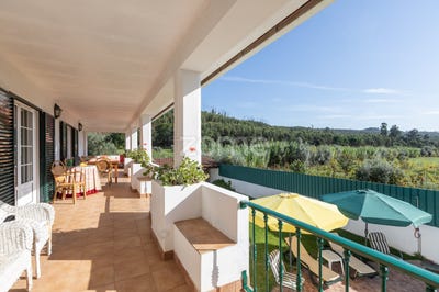 /international/pt/vila-nova-de-poiares-coimbra-120088829958/